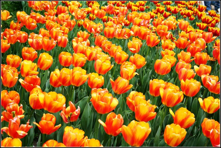 心曠神怡的[80P]