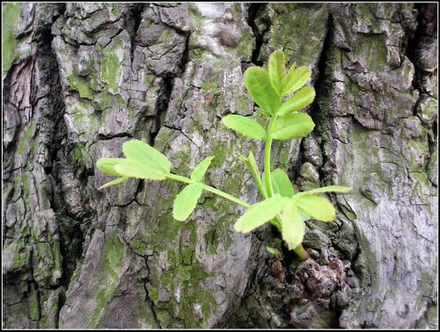 心曠神怡的[80P]