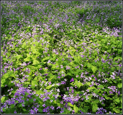 心曠神怡的[80P]