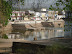 DSC01847.JPG