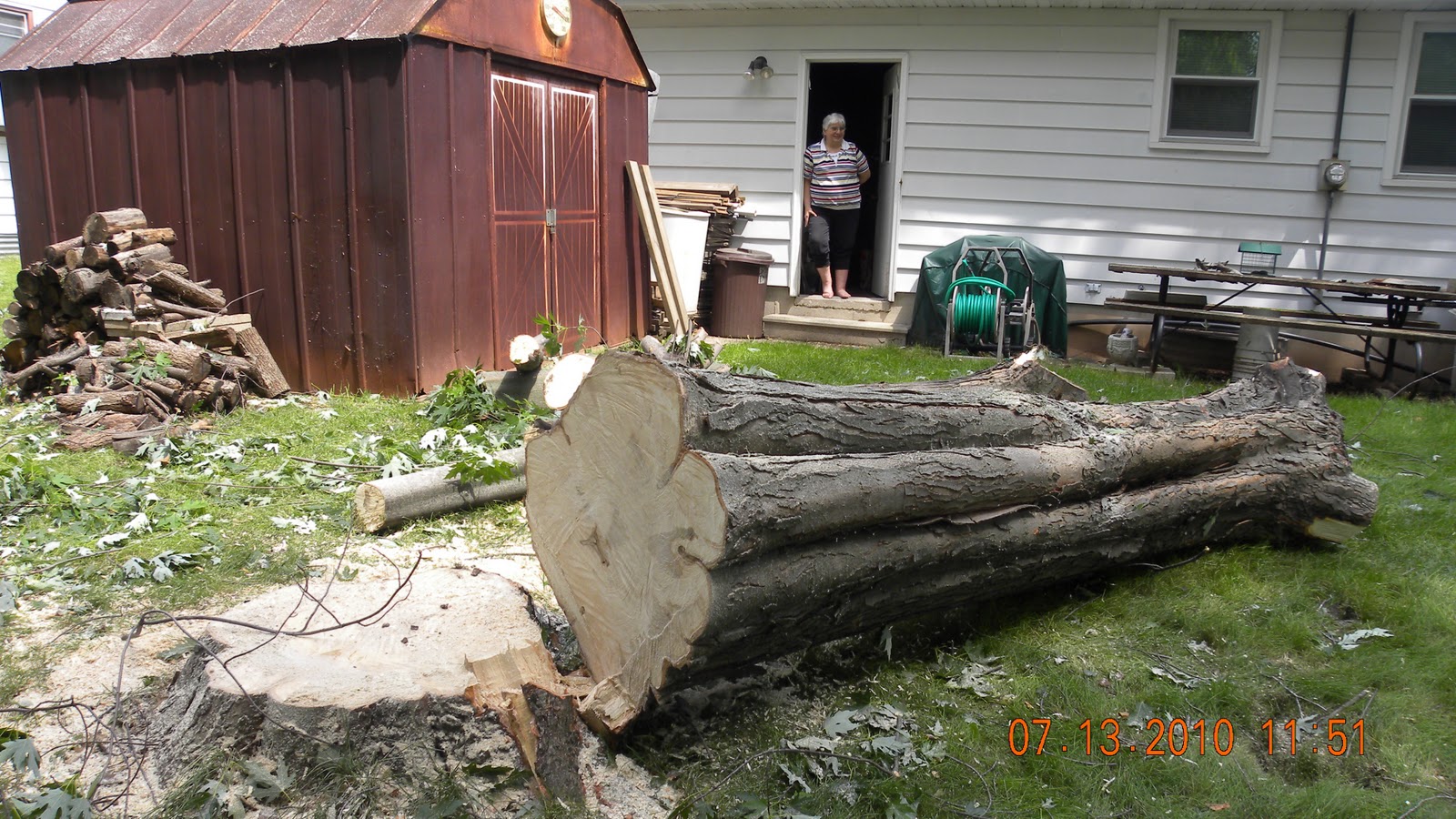 [Tree JOb on Langlade (14)[2].jpg]