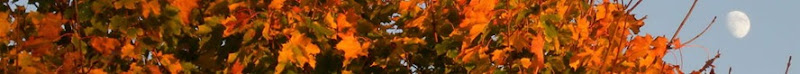 Fall color tree w Moon Post top shot_1034Fall color tree w Moon Post top shotcompressed