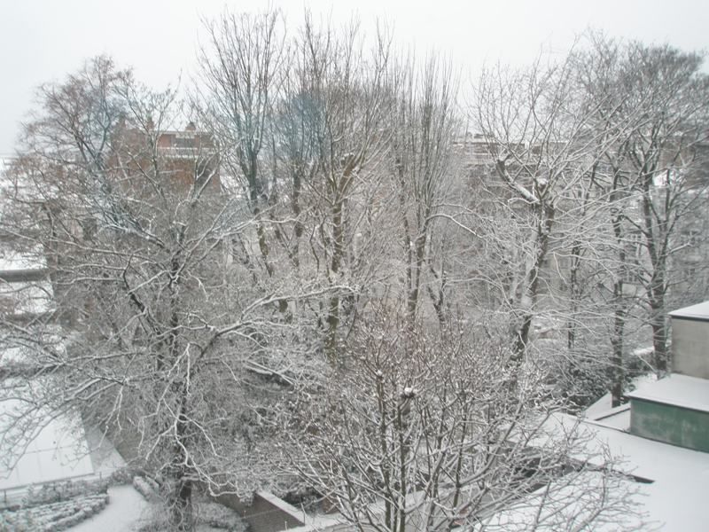 MI BRUSELAS - Blogs de Belgica - Desde mi ventana (4)