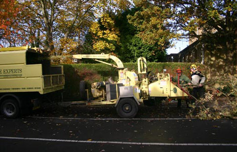 picture 1