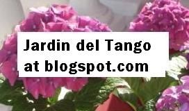 Link to Our Blog