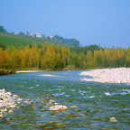 Itrim20120501 toninomosconi.jpg