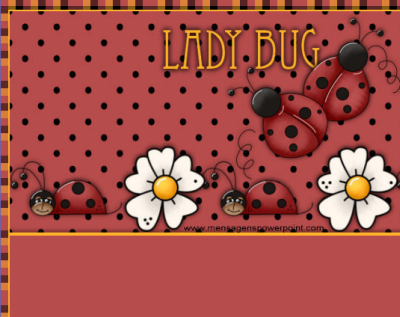[screenladybug[4].png]