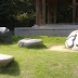 Shosha-san, a mountain near Himeji. These stones were cute, though you can't see it well on the picture.
