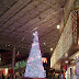 More Christmas tree. Pink is NO Christmas color!