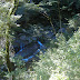 Small river, it was quite high there.