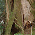 DSCF1572.JPG