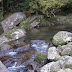 DSCF1597.JPG