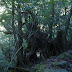 DSCF1603.JPG