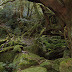 It did look kinda spooky with all the moss...