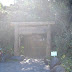 The entrance to the garden. The sun was so bright it messed up my picture!