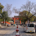 The next day: Kyoto. This is the entrance to Fushimi Inari, the road with all the tori's.