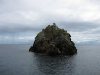 poor knights islands