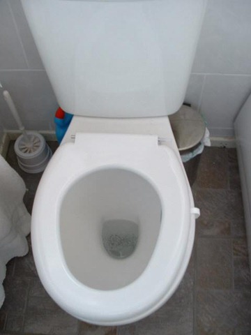 [TOILETSEAT1[5].jpg]