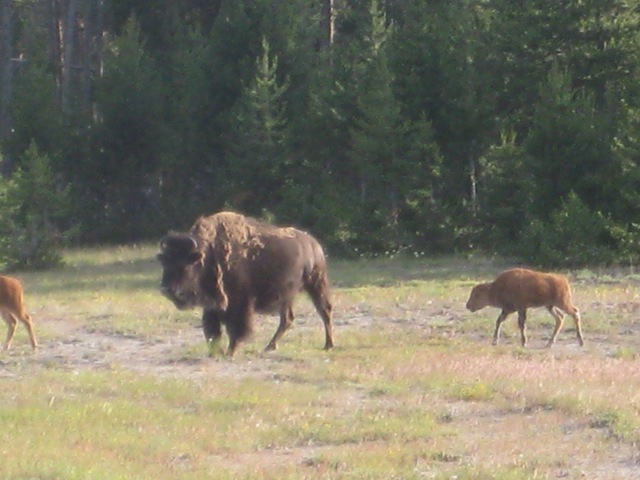 [2009-07-12 Group 1 Adventure 030.jpg]