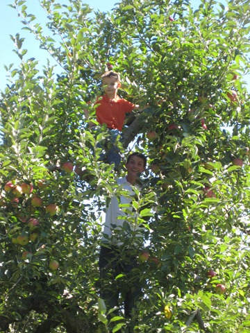 [2010-09-11 911, agent, apple picking  3964[3].jpg]