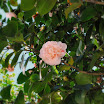 Reis april2010 022.JPG