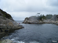DSCF1043.JPG (Søvik, Hordaland, Norway) Photo