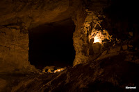 Hulen Photo