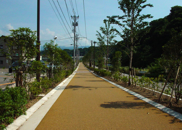 �����¤äƤߤ�������w