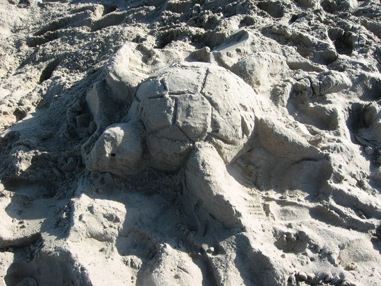 [SandSculptureTurtle3.jpg]