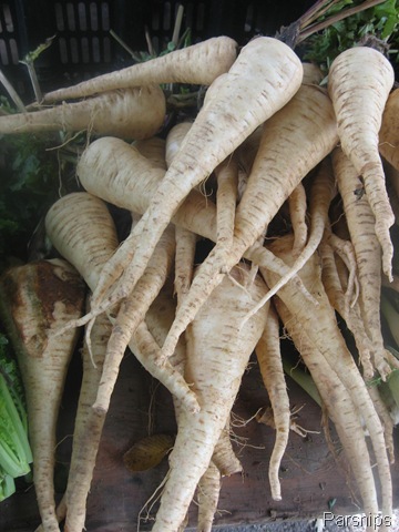 [parsnips[4].jpg]