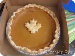 pumpkin pie