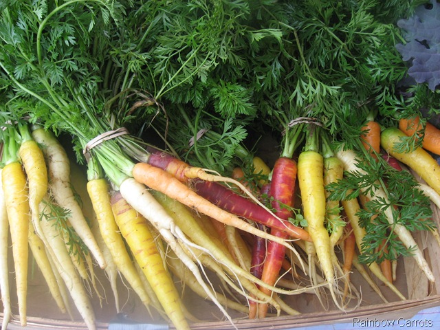 [rainbow carrots 2[4].jpg]