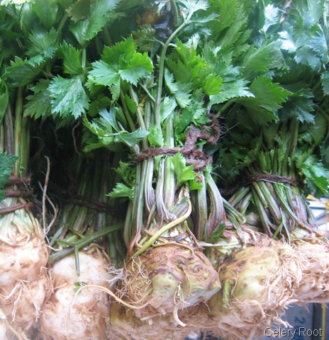 [celery root[5].jpg]