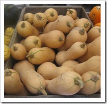 butternut squash