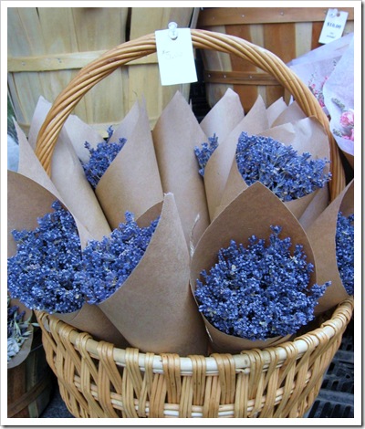 lavender bunches the river garden catskill, ny