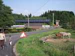 DSCF1599.jpg