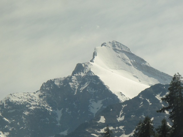 [IMG_41364.jpg]
