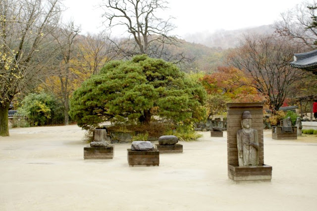 참송 이미지