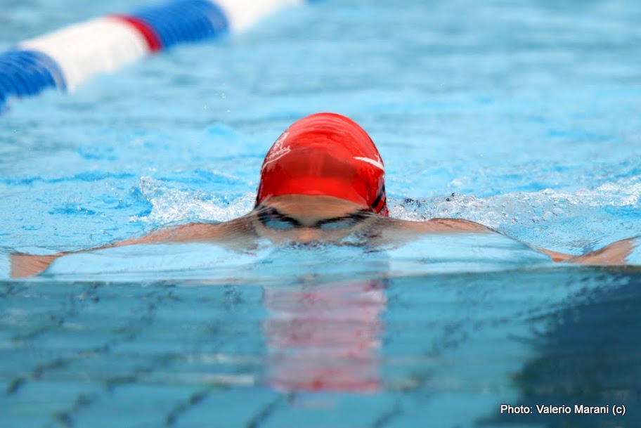 IMAGE: http://lh5.ggpht.com/_xkQGCdhLTH8/TDmMsJDvF3I/AAAAAAAACwk/TmYhSKyeqzs/s912/IMG_5452.JPG