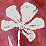 Embossed Dimensional Pearl Tags Thumbnail