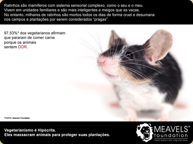 cartaz4