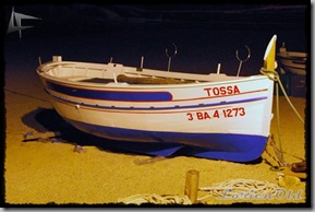TossaP (26) TossaP (26)