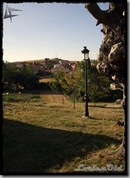 MadrigalDelMonte (8) MadrigalDelMonte (8)