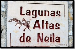 Neila (18) Neila (18)