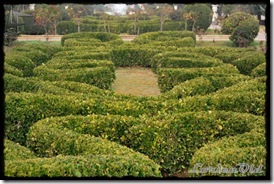 Parque_Labordeta (42)
