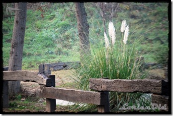 Parque_Labordeta (16)