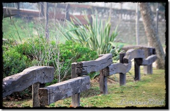 Parque_Labordeta (19)