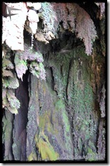 MonasterioDePiedra (59)