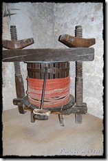 MuseosMonasterioDePiedra (42)