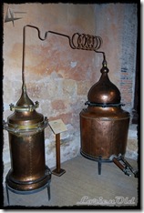 MuseosMonasterioDePiedra (43)